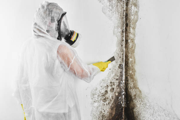 Best Mold Cleaning Services  in Centerburg, OH