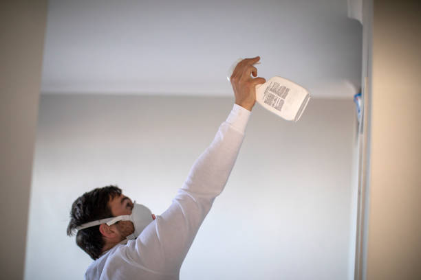 Best Water Damage Restoration  in Centerburg, OH