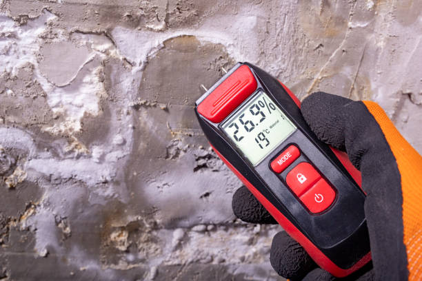 Best Emergency Mold Removal  in Centerburg, OH