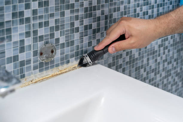 Best Best Mold Removal Companies  in Centerburg, OH