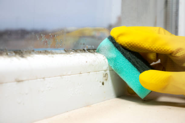 Best Mold Removal Near Me  in Centerburg, OH
