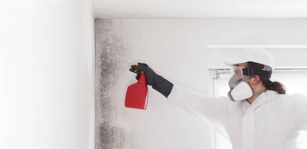 Best Mold Remediation  in Centerburg, OH