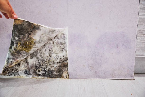 Water Damage Restoration in Centerburg, OH